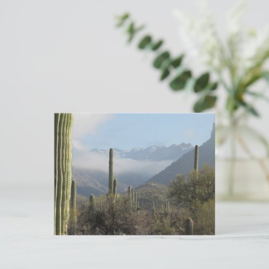 Tucson Wüste Postkarte (Stehend Vorderseite)