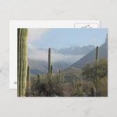 Tucson Wüste Postkarte (Vorne/Hinten)