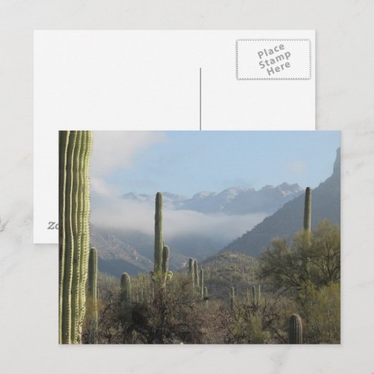 Tucson Wüste Postkarte (Vorne/Hinten)