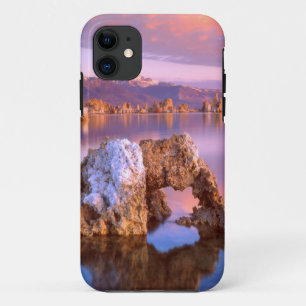 Tufa-Bogen am Mono Lake iPhone 11 Hülle
