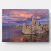 Tufa Formation on Mono Lake Fotoplatte (Vorderseite)