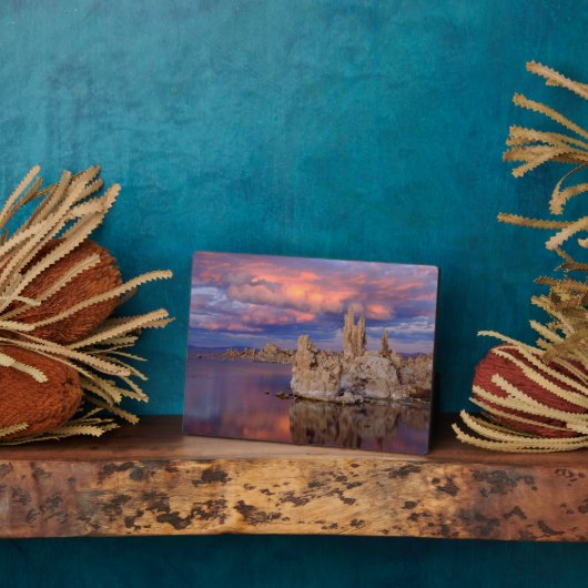 Tufa Formation on Mono Lake Fotoplatte (Seite)