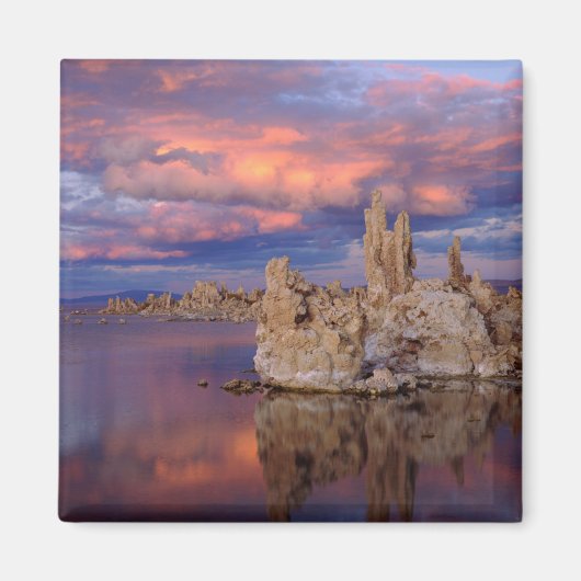 Tufa Formation on Mono Lake Magnet (Vorne)