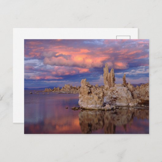Tufa Formation on Mono Lake Postkarte (Vorne/Hinten)