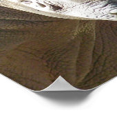 Tuff Stuff Poster (Ecke)