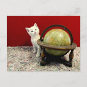 Tuffy McDuff Rund um die Welt - Katze / Kitten Postkarte (Vorderseite)