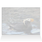 Tufin - 5" x 7" Kunstkarte (Innenansicht Horizontal (Oben))