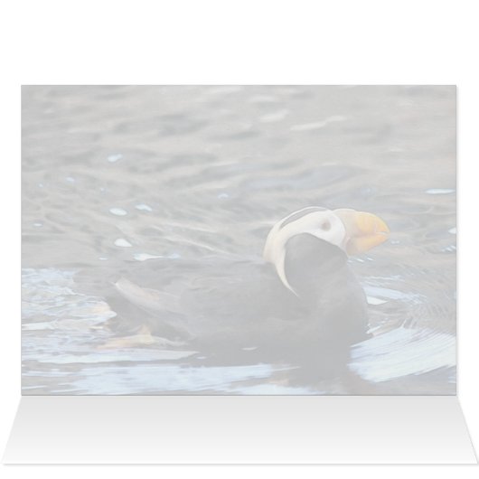 Tufin - 5" x 7" Kunstkarte (Innenansicht Horizontal (Oben))