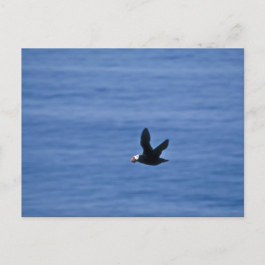 Tufin im Flug Postkarte (Vorderseite)