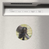 Tufin Kapuzinermagnet Magnet (In Situ (Geschirrspüler))