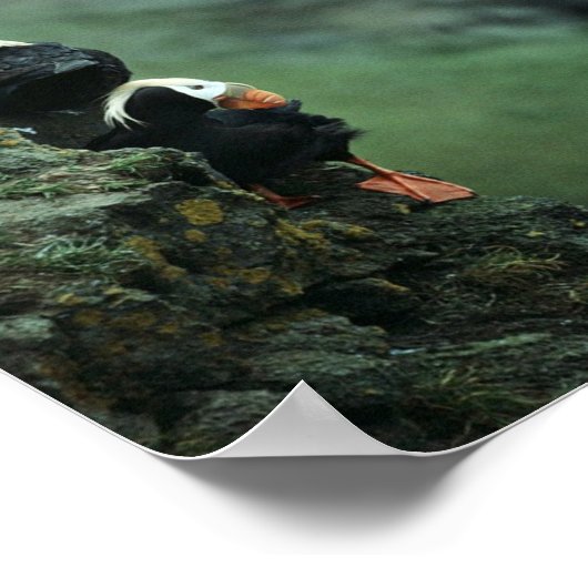 Tufin Pair Poster (Ecke)