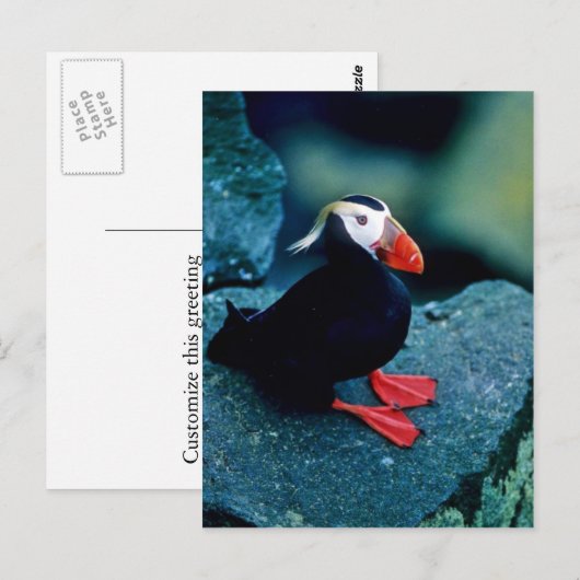 Tufin Postkarte (Vorne/Hinten)