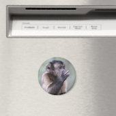 Tuflisches Capuchin-Affen-Foto Magnet (In Situ (Geschirrspüler))