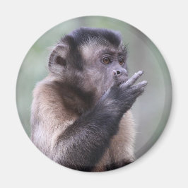 Tuflisches Capuchin-Affen-Foto Magnet