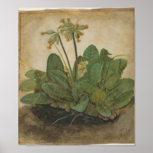 Tuft von Cowslips von Albrecht Durer Poster (Vorne)