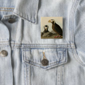 Tufted Auk (Puffin) - Audubons Vögel von Amerika Button (Beispiel)