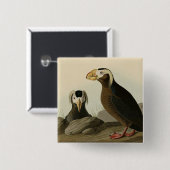 Tufted Auk (Puffin) - Audubons Vögel von Amerika Button (Vorne & Hinten)