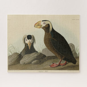 Tufted Auk (Puffin) - Audubons Vögel von Amerika Puzzle