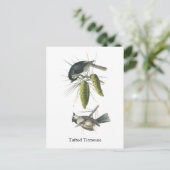 Tufted Titmouse, John Audubon Postkarte (Stehend Vorderseite)