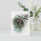 Tufted Titmouse Perched on Pinecone Postkarte (Stehend Vorderseite)