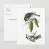 Tufted Titmouse von Audubon Postkarte (Vorne/Hinten)