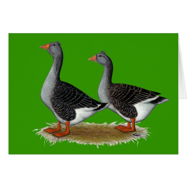 Tufted Toulouse Geese (Vorderseite (Horizontal))