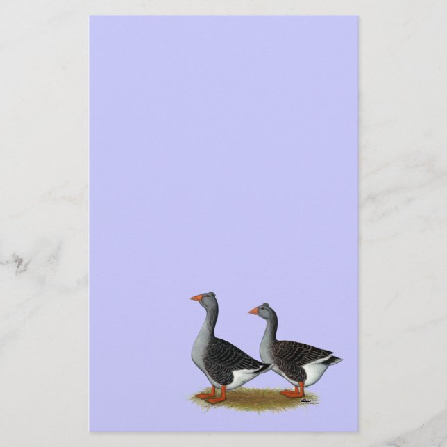 Tufted Toulouse Geese (Vorderseite)