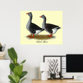 Tufted Toulouse Geese Poster (Heimbüro)