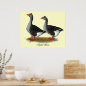 Tufted Toulouse Geese Poster (Küche)