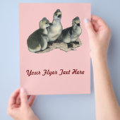 Tufted Toulouse Goslings Flyer (Hand)