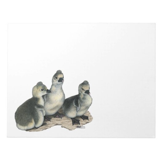 Tufted Toulouse Goslings Notizblock (Vorderseite)