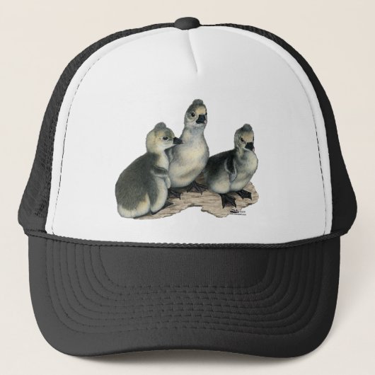 Tufted Toulouse Goslings Truckerkappe (Vorderseite)