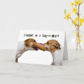 Tug-o-War Karte (Gelbe Blume)