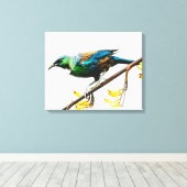 Tui auf Yellow Flax originales Aquarelldesign Leinwanddruck (Insitu (Holzboden))
