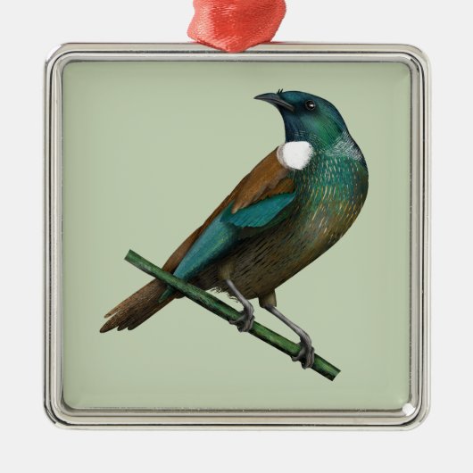 Tui New Zealands Bird Ornament Aus Metall (Vorne)