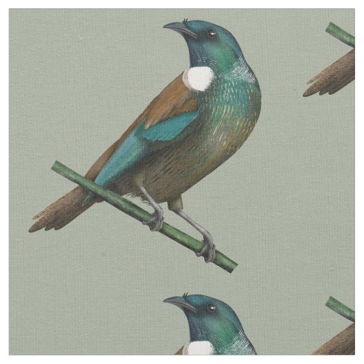 Tui New Zealands Bird Stoff (Nahaufnahme)