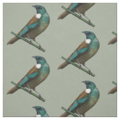 Tui New Zealands Bird Stoff (Muster)