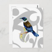 Tui NZ Bird Postkarte (Vorne/Hinten)