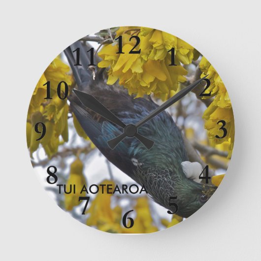 Tui of Aotearoa Runde Wanduhr (Vorderseite)