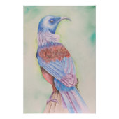 Tui - poster (Vorderseite)