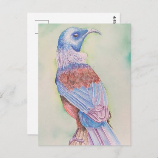 Tui - Postkarte (Vorne/Hinten)