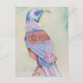 Tui - Postkarte (Vorderseite)