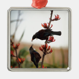 Tui-Vögel auf Neuseeland-Flachs Ornament Aus Metall
