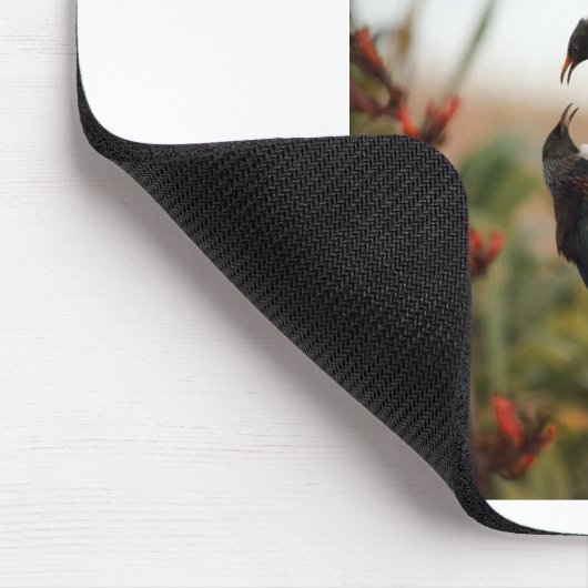 Tui-Vögel auf Neuseeländischem Flachs Mousepad (Ecke)