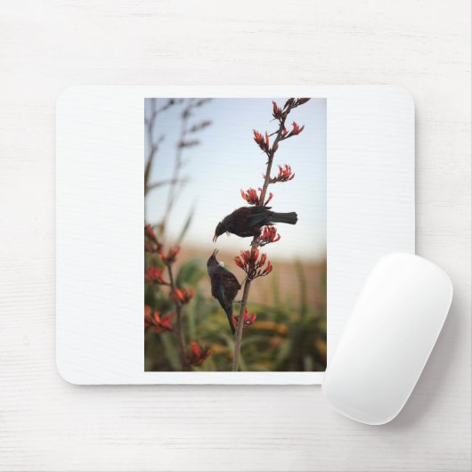 Tui-Vögel auf Neuseeländischem Flachs Mousepad (Mit Mouse)