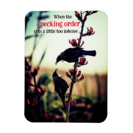 Tui-Vögel, die Flachs kämpfen Magnet