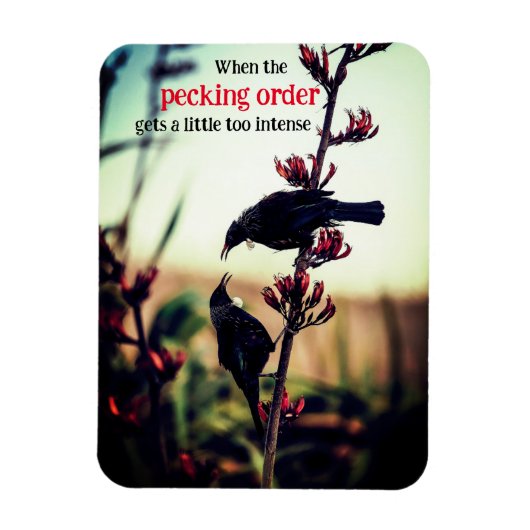 Tui-Vögel, die Flachs kämpfen Magnet (Vertikal)