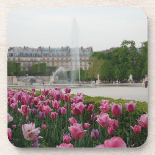Tuileries Garden in Blüte Getränkeuntersetzer