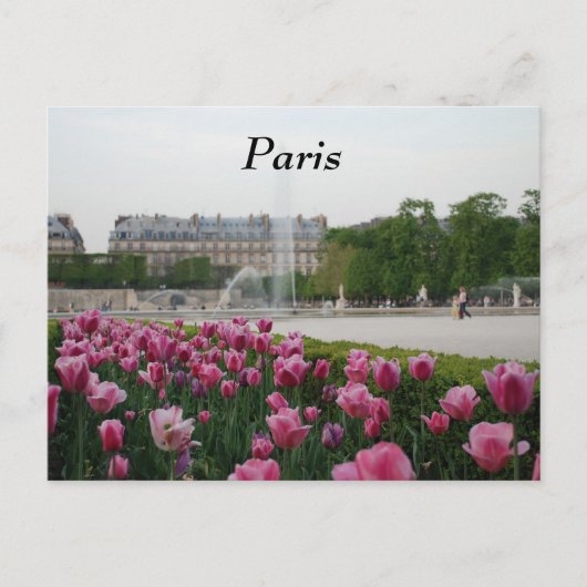 Tuileries Garden in Blüte Postkarte (Vorderseite)