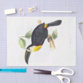 Tukan Dekoupage Seidenpapier (Handwerk)